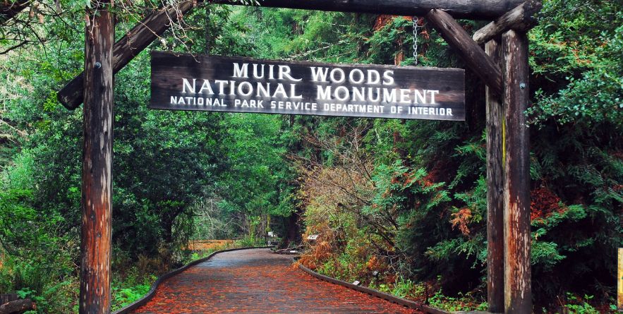 Muir Woods National Monument