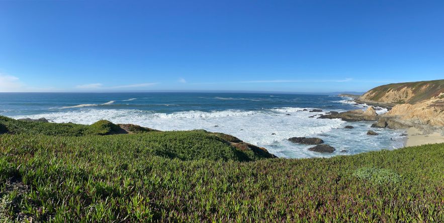 Bodega Bay