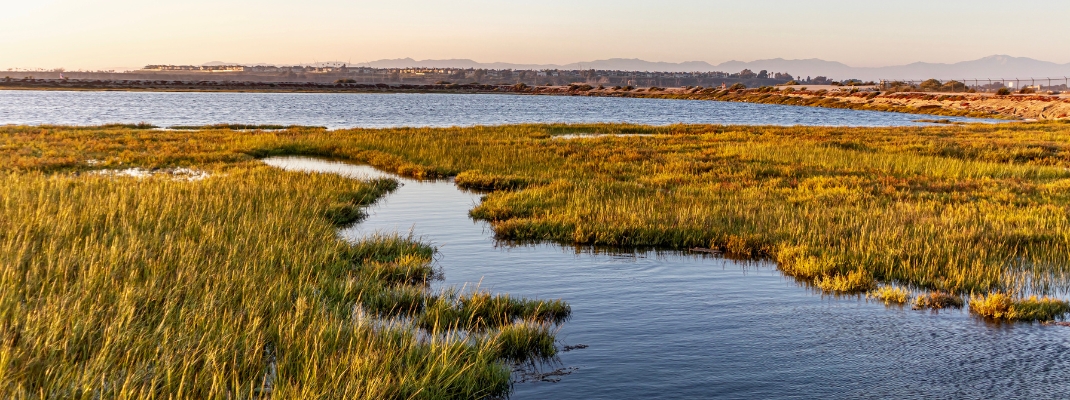 Bolsa Chica State Beach