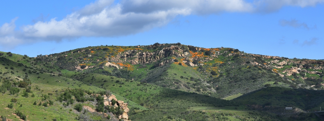 Foothills of Irvine Regional Park in Orange County